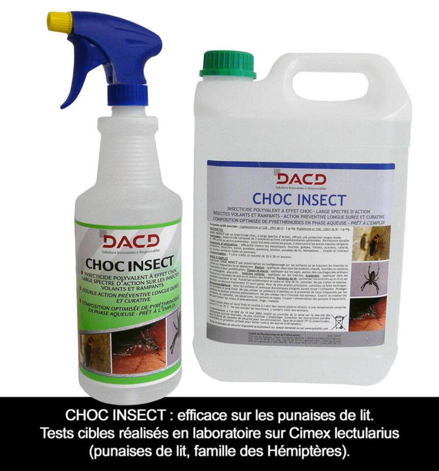 Insecticide polyvalent à effet choc