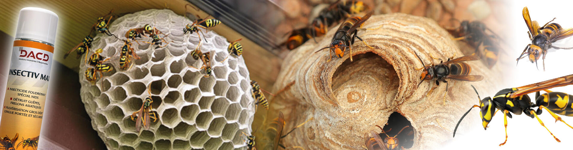 insectiv-max-1917x503