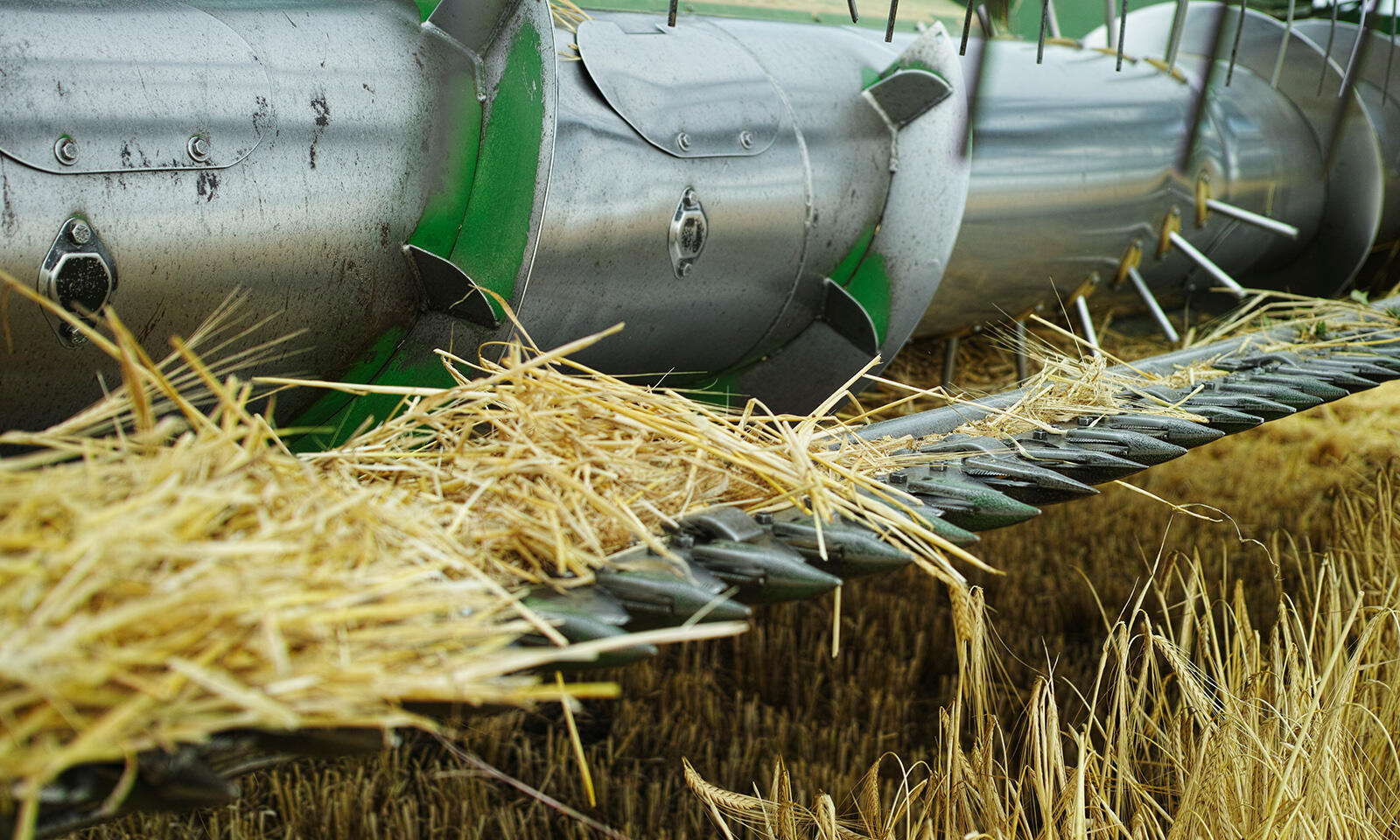 vegeagri2