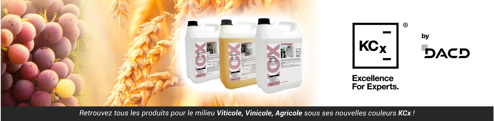 kcx-viti-vini-2026-4000x984